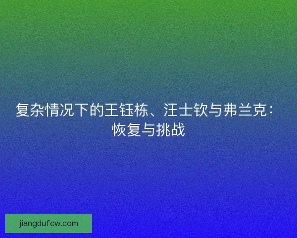 复杂情况下的王钰栋、汪士钦与弗兰克：恢复与挑战