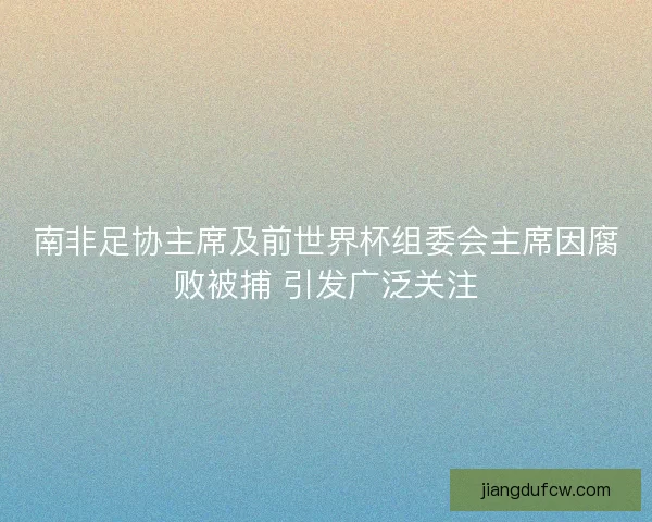 南非足协主席及前世界杯组委会主席因腐败被捕 引发广泛关注