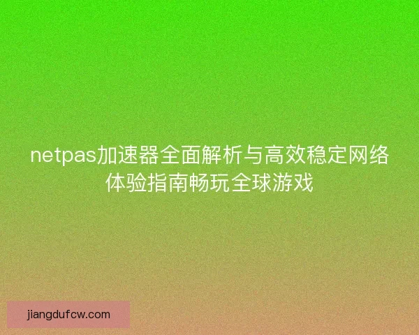netpas加速器全面解析与高效稳定网络体验指南畅玩全球游戏