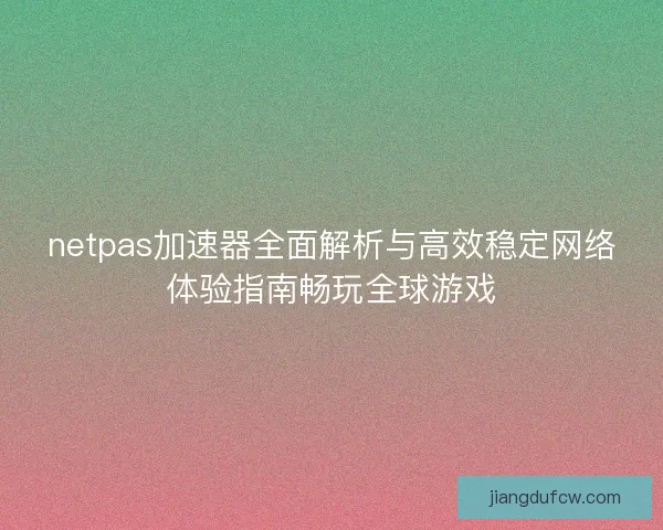 netpas加速器全面解析与高效稳定网络体验指南畅玩全球游戏