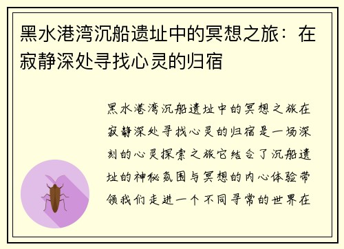 黑水港湾沉船遗址中的冥想之旅：在寂静深处寻找心灵的归宿